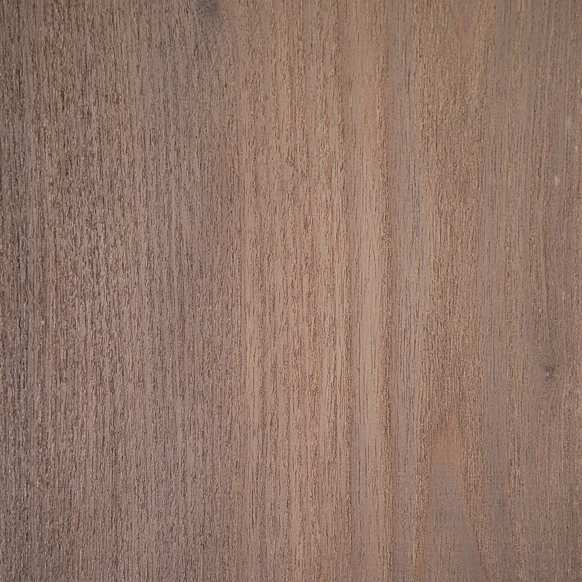 Acacia Thermo Treated wood