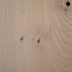 Fossil Elm Wood