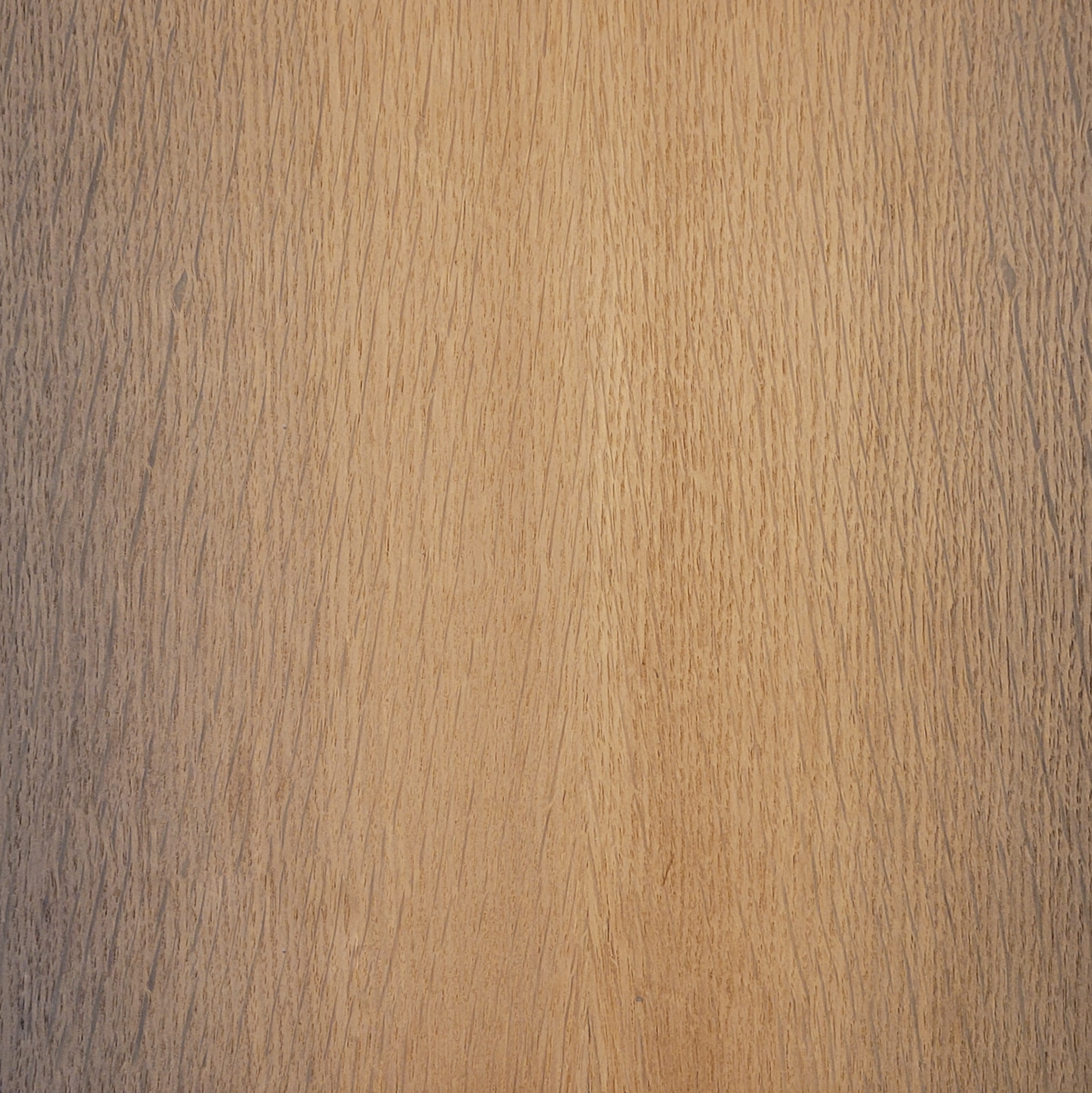 Fossil Oak B2 Millenary Wood